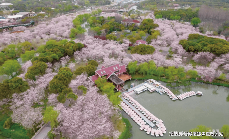 -2025楼盘测评-售楼处欢迎您_最新房价户型招商时代乐章售楼处电话-招商时代乐章-首页网站(图12)